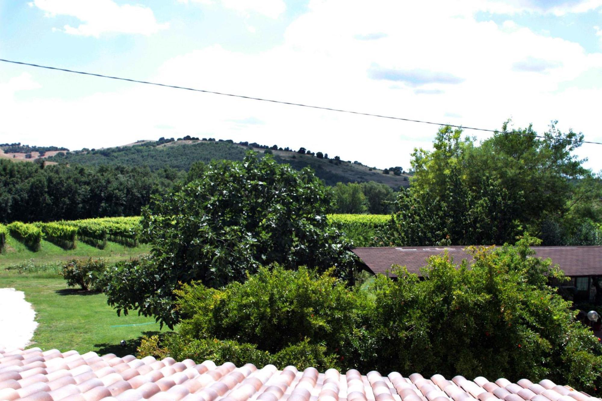 Agriturismo La Vecchia Quercia Montemerano Exterior photo